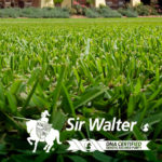 Sir-Walter_logo_2021