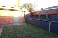 DNA certified Sir Walter Buffalo instant lawn