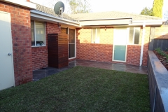 DNA certified Sir Walter Buffalo instant lawn