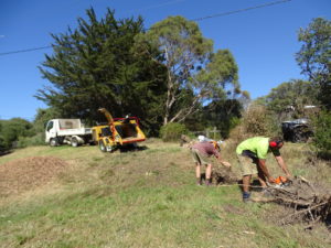 Land clearing with onsite chipping service